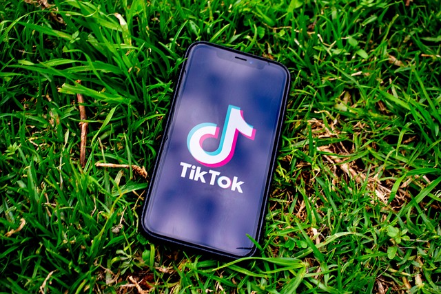 sociální síť TikTok